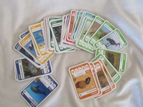 164 PICK AND PAY SUPER ANIMALS TRADING CARDS - NO DUPLICATES