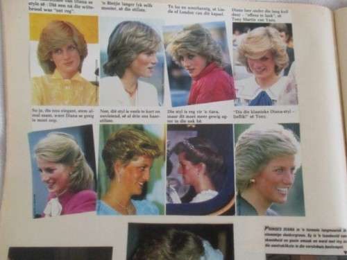 FOR RAVEN1977 ONLY SCRAPBOOKS PRINCESS DIANA PRESS CLIPPINGS(HARD TO BELIEVE SHE WOULD HAVE BEEN 60)