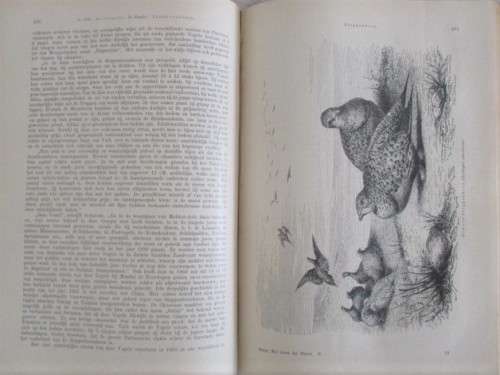 1902 - WONDERFUL, RARE BOOK OF INTEREST TO BIRD WATCHERS - HET LEVEN DER DIEREN - DE VOGELS