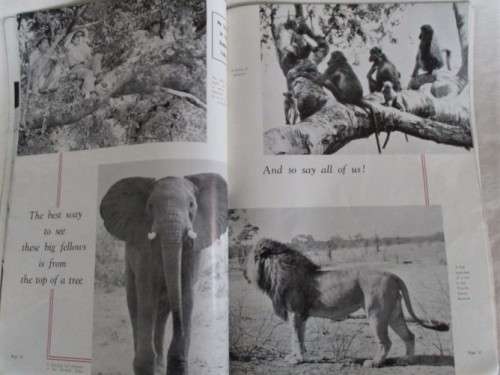 OLD 1955 RHODESIAN AND CENTRAL AFRICAN ANNUAL