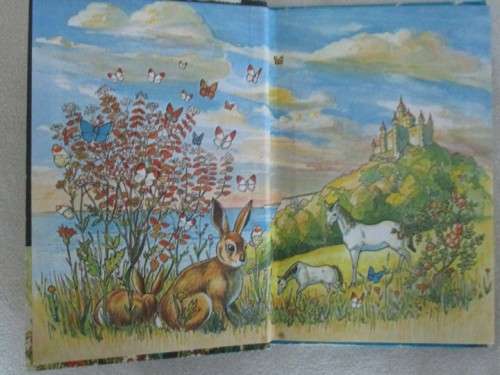 1978 LADYBIRD BOOK IN ACCEPTABLE CONDITION - THE PIED PIPER OF HAMELIN - CLEAN BUT COVER NOT GREAT