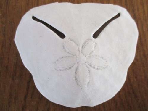 DELICATE AND RARE - FIVE SEA URCHIN PANSY/SAND DOLLAR SHELLS