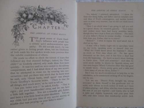 ESTHER CAMERON'S STORY (A TALE OF LIFE AND INFLUENCE) BY ROSA NOUCHERRE CAREY - CIRCA 1920's