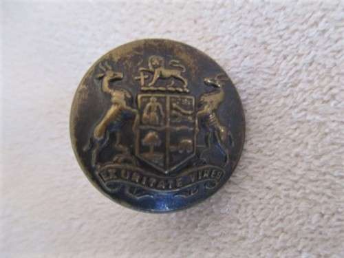 WOW!! A BATCH OF SIXTEEN VINTAGE MILITARY (S.A. AND BRITISH)  BRASS BUTTONS AND PINS