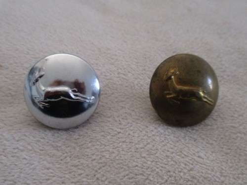 WOW!! A BATCH OF SIXTEEN VINTAGE MILITARY (S.A. AND BRITISH)  BRASS BUTTONS AND PINS