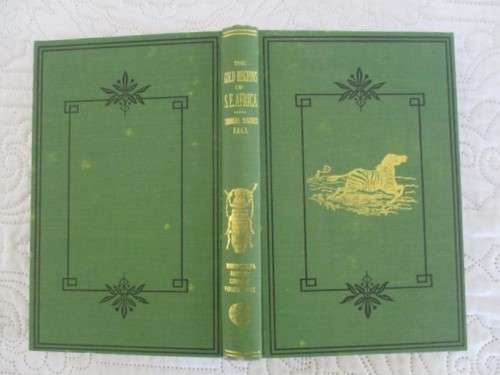 RHODESIANA - THE GOLD REGIONS OF SOUTH EASTERN AFRICA - THOMAS BAINES