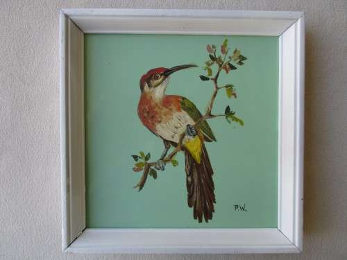 VINTAGE FRAMED HAND PAINTED JOHNSON SOUTH AFRICA TILE - GURNEY`S SUGARBIRD - SIGNED