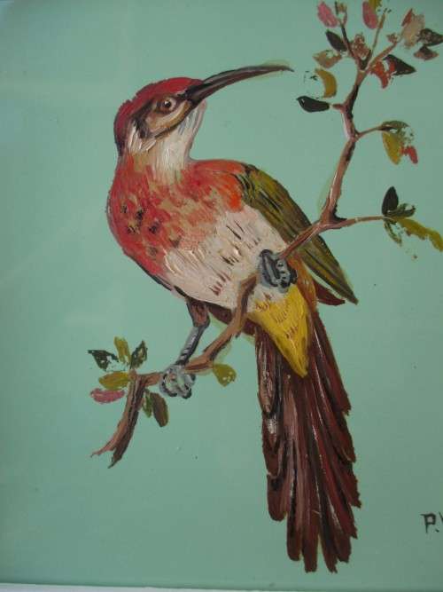 VINTAGE FRAMED HAND PAINTED JOHNSON SOUTH AFRICA TILE - GURNEY`S SUGARBIRD - SIGNED