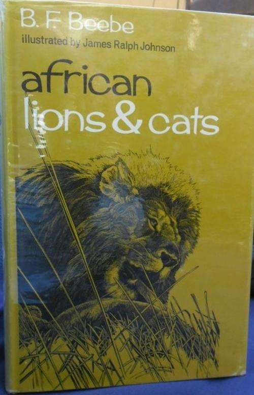 AMAZING FIRST EDITION IN EXCELLENT CONDITION! AFRICAN LIONS AND CATS BY B.F. BEEBE!!