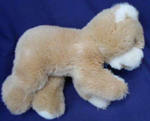 ANOTHER COLLECTABLE - A SCHILDKROT BEAR WITH LABEL AND TAG!!