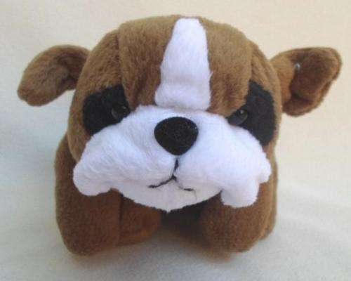CUTE LITTLE BEANIE DOG!!