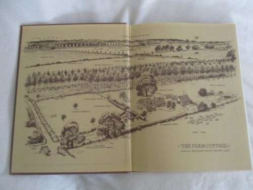 FIRST EDITION - HARDCOVER & DUST JACKET - A PLANK BRIDGE BY A POOL - NORMAN THELWELL - DELIGHTFUL!