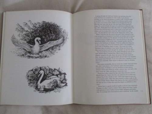 FIRST EDITION - HARDCOVER & DUST JACKET - A PLANK BRIDGE BY A POOL - NORMAN THELWELL - DELIGHTFUL!