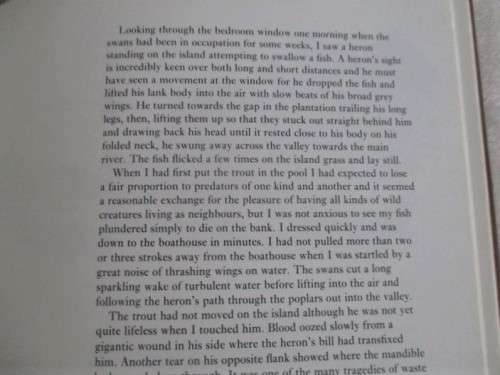FIRST EDITION - HARDCOVER & DUST JACKET - A PLANK BRIDGE BY A POOL - NORMAN THELWELL - DELIGHTFUL!