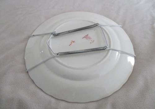 ANTIQUE K&C LATE MAYERS ART NOUVEAU DISPLAY PLATE - LOSOL WARE - TOKIO (CIRCA 1870-1936)