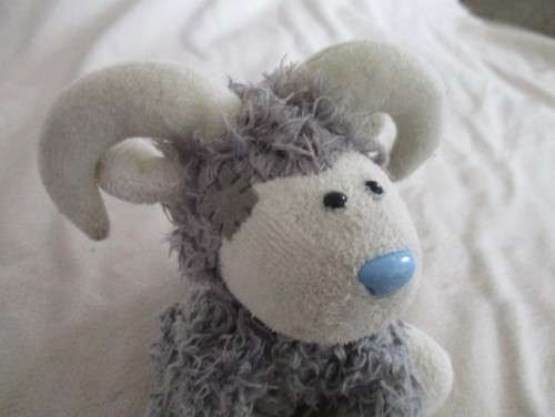 TATTY TEDDY`S BLUE NOSE FRIEND - KASHMIR THE RAM (NO 67)