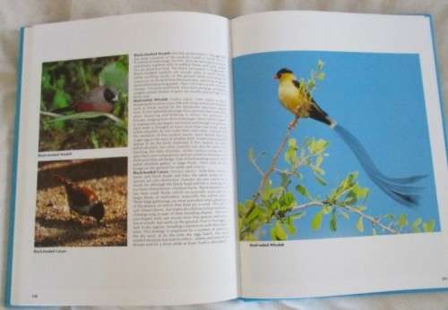 EVERYONE`S GUIDE TO SOUTH AFRICAN BIRDS - HARD COVER WITH DUST COVER BY JOHN SINCLAIR &  MENDELSOHN