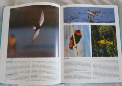 EVERYONE`S GUIDE TO SOUTH AFRICAN BIRDS - HARD COVER WITH DUST COVER BY JOHN SINCLAIR &  MENDELSOHN