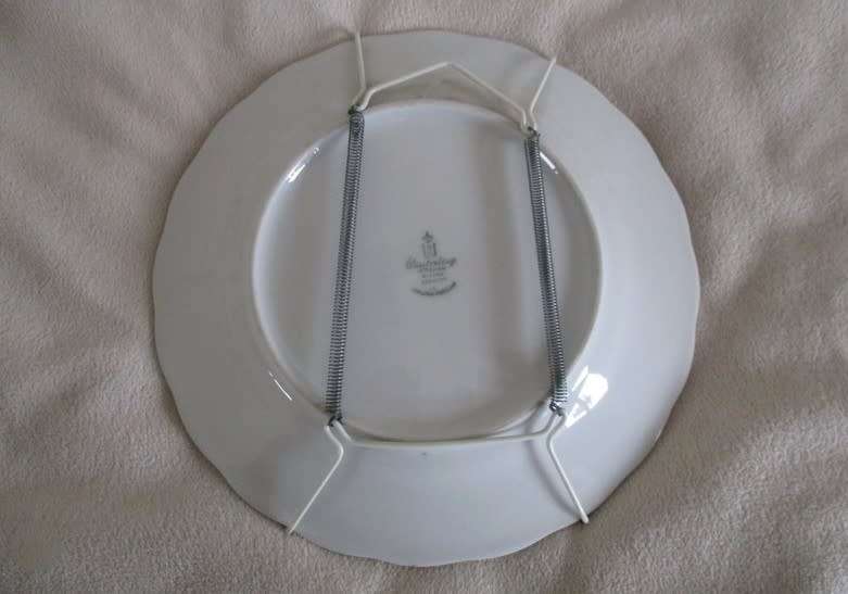 VINTAGE HAND PAINTED WINTERLING, BAVARIA DISPLAY PLATE WITH HANGER - FORGET-ME-NOTS