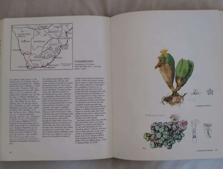 The Genera of the Mesembryanthemaceae by H. Herpe