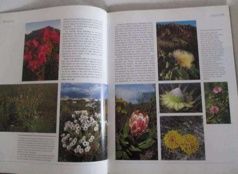 Table Mountain A natural History by Anton Pauw and Steven Johnson - excellent condition