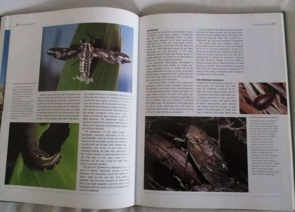 Table Mountain A natural History by Anton Pauw and Steven Johnson - excellent condition