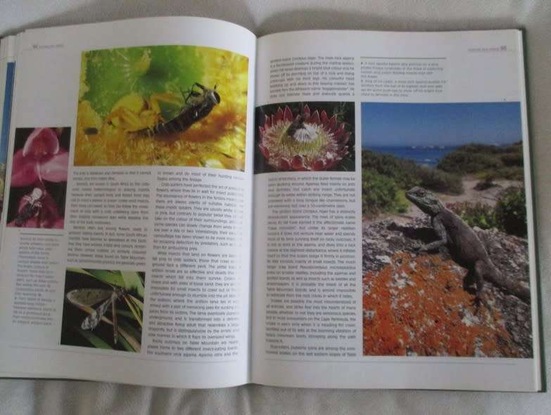 Table Mountain A natural History by Anton Pauw and Steven Johnson - excellent condition