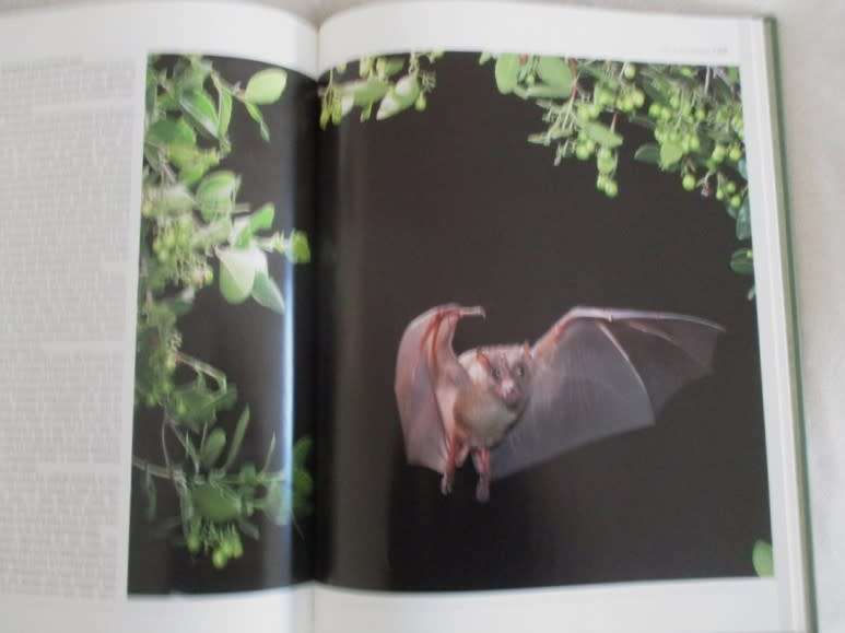 Table Mountain A natural History by Anton Pauw and Steven Johnson - excellent condition