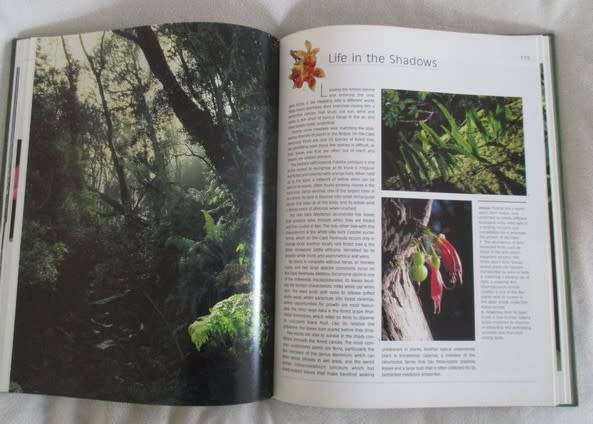 Table Mountain A natural History by Anton Pauw and Steven Johnson - excellent condition