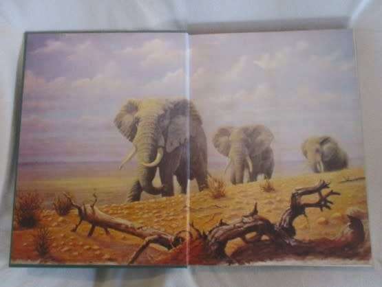 The Conservationists and the killers by John Pringle