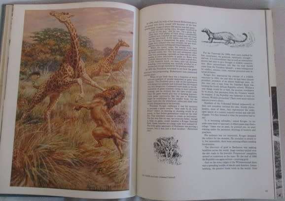 The Conservationists and the killers by John Pringle