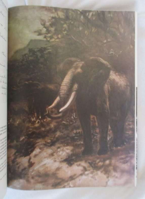The Conservationists and the killers by John Pringle