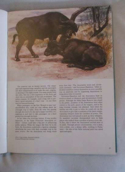 The Conservationists and the killers by John Pringle