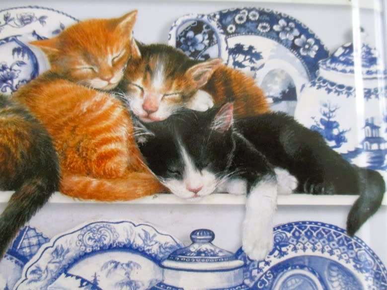 Tin - Cute kitties sleeping on the China shelf - disaster on its way!!