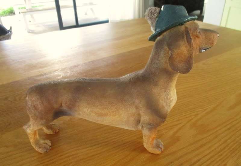 An adorable large Dachshund with the most appealing face