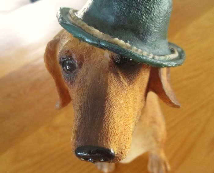 An adorable large Dachshund with the most appealing face
