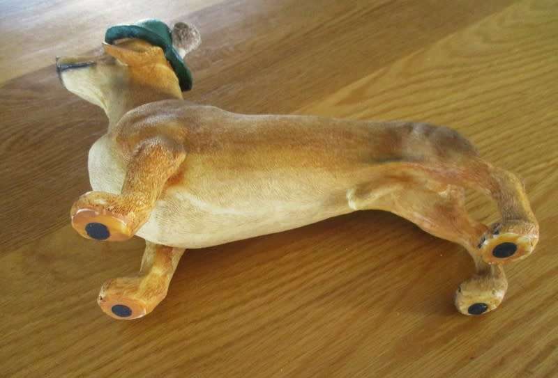 An adorable large Dachshund with the most appealing face