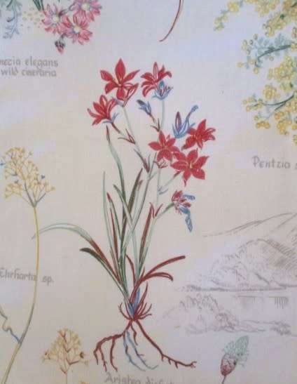 A pretty tray cloth with fynbos design