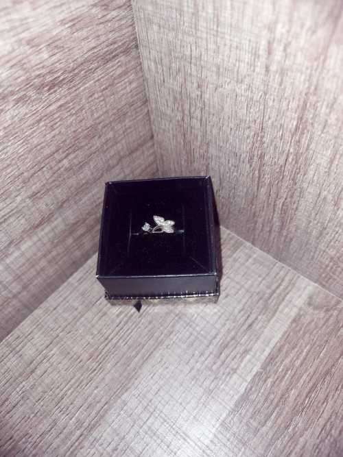 Sterling Silver 925 adjustable Ring