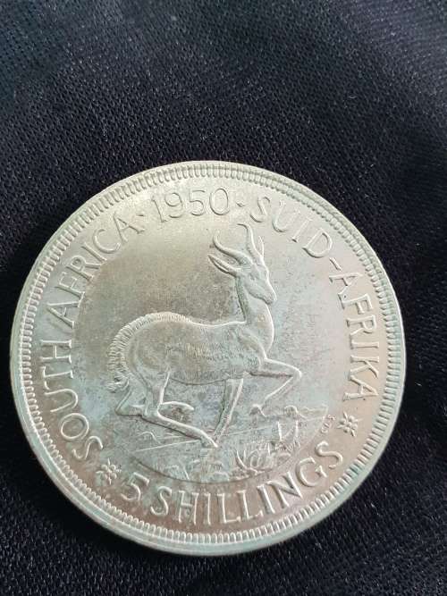 SOUTH AFRICA 5 Shilling  1950 (80% Silver ) Weight 28.3g