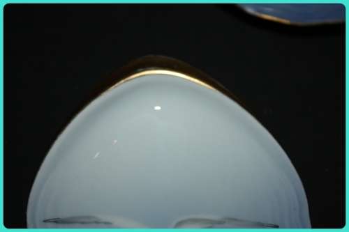 LOVELY SET OF FIVE OYSTER DISHES MADE IN DENMARK IN SHAPE OF SHELL DECORATED WITH A SEAGULL (D)