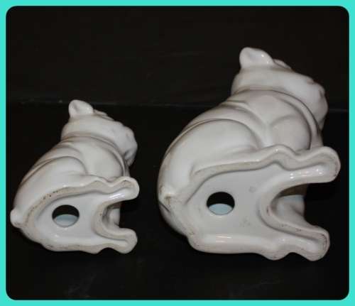PAIR OF BRITISH BULLDOGS MOM AND PUP TO LOVELY
