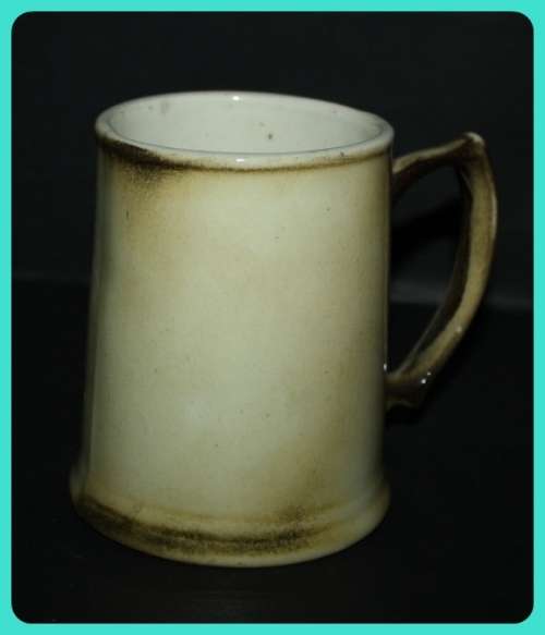 VINTAGE NATIONAL PARKS SOUVINIR MUG WITH RAISED PICTURE OF A ZEBRA