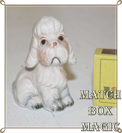 SWEET LITTLE POODLE