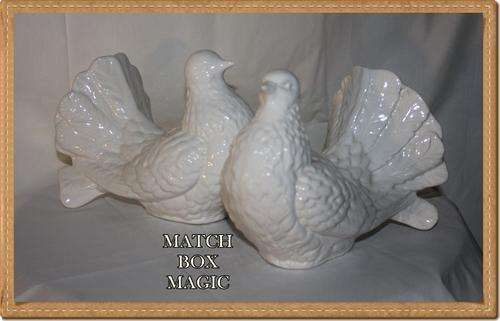 PAIR OF BEAUTIFUL FAN TAIL PIGEONS VERY GOOD CONDITION LARGE