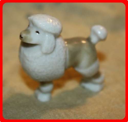 SWEET LITTLE POODLE PERFECT FOR A DOLLS HOUSE
