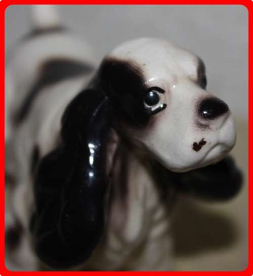 VINTAGE BLACK AND WHITE SPANIEL DOG