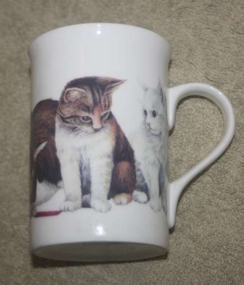 SUMMER RIVER CAT LOVERS COFFEE CUP