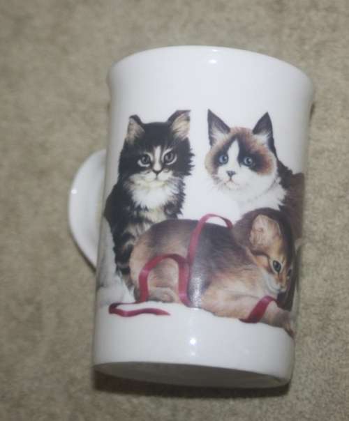 SUMMER RIVER CAT LOVERS COFFEE CUP