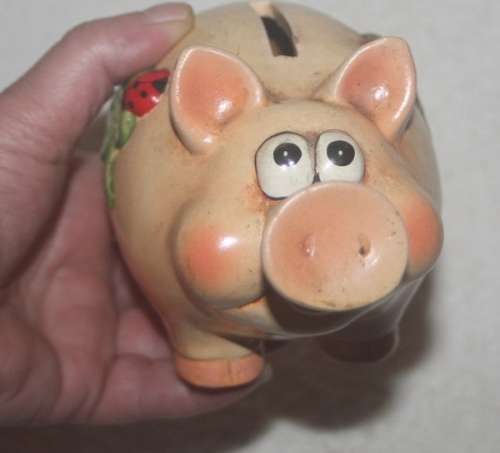 CUTE PIG PIGGY BANK WITH LADY BUG DETAIL